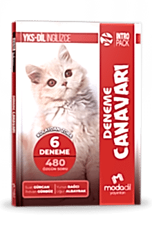 YKS-DİL INTROPACK - DENEME CANAVARI (6 DENEME)
